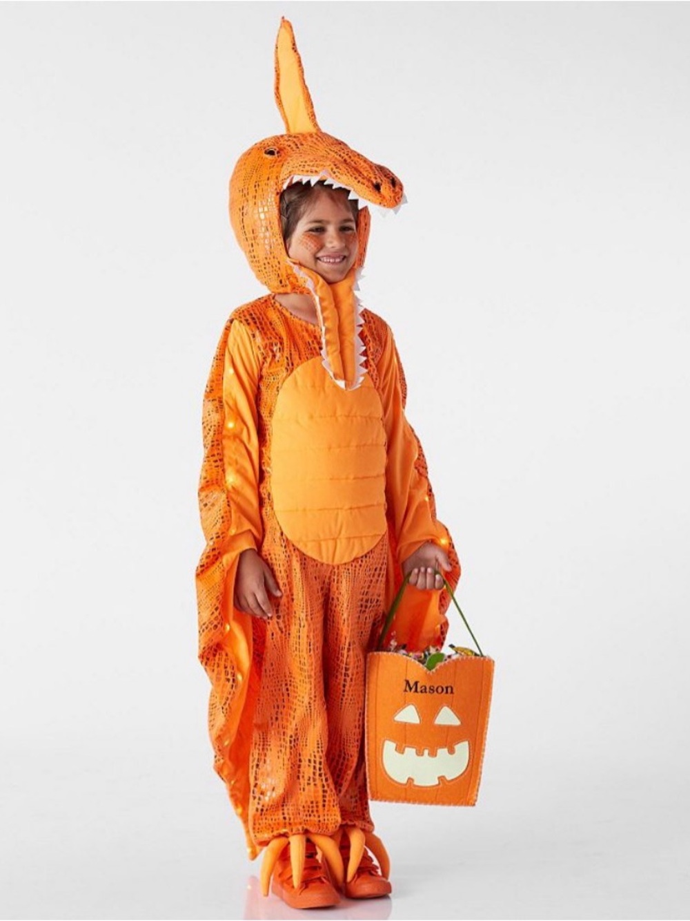 Pottery Barn Light-Up Pterodactyl Halloween Costume